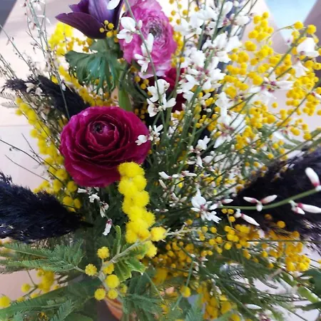 Ome Sweet 4* Laubressel