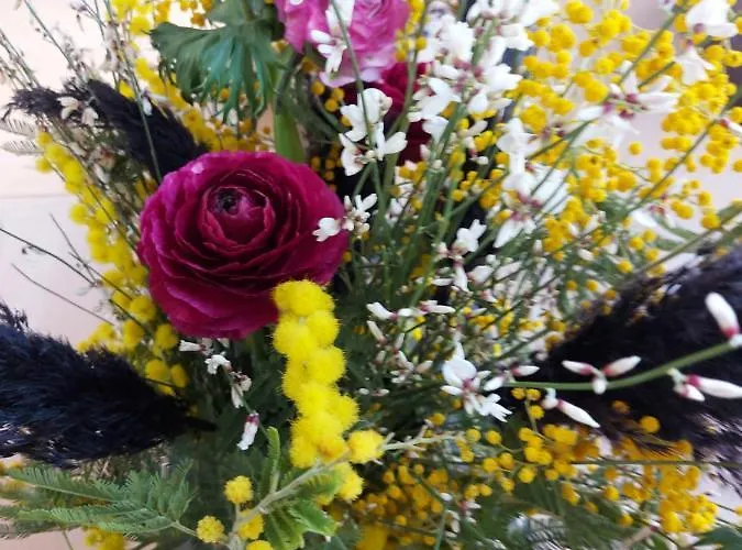 Ome Sweet 4* Laubressel